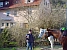 Caro, die Pferde und ein Radler