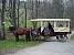 Kutscher vom Lichtenstein