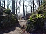 Ruine "Alter Lichtenstein"