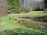 Froschteich