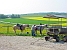 Start an der Pferdepension Authaler